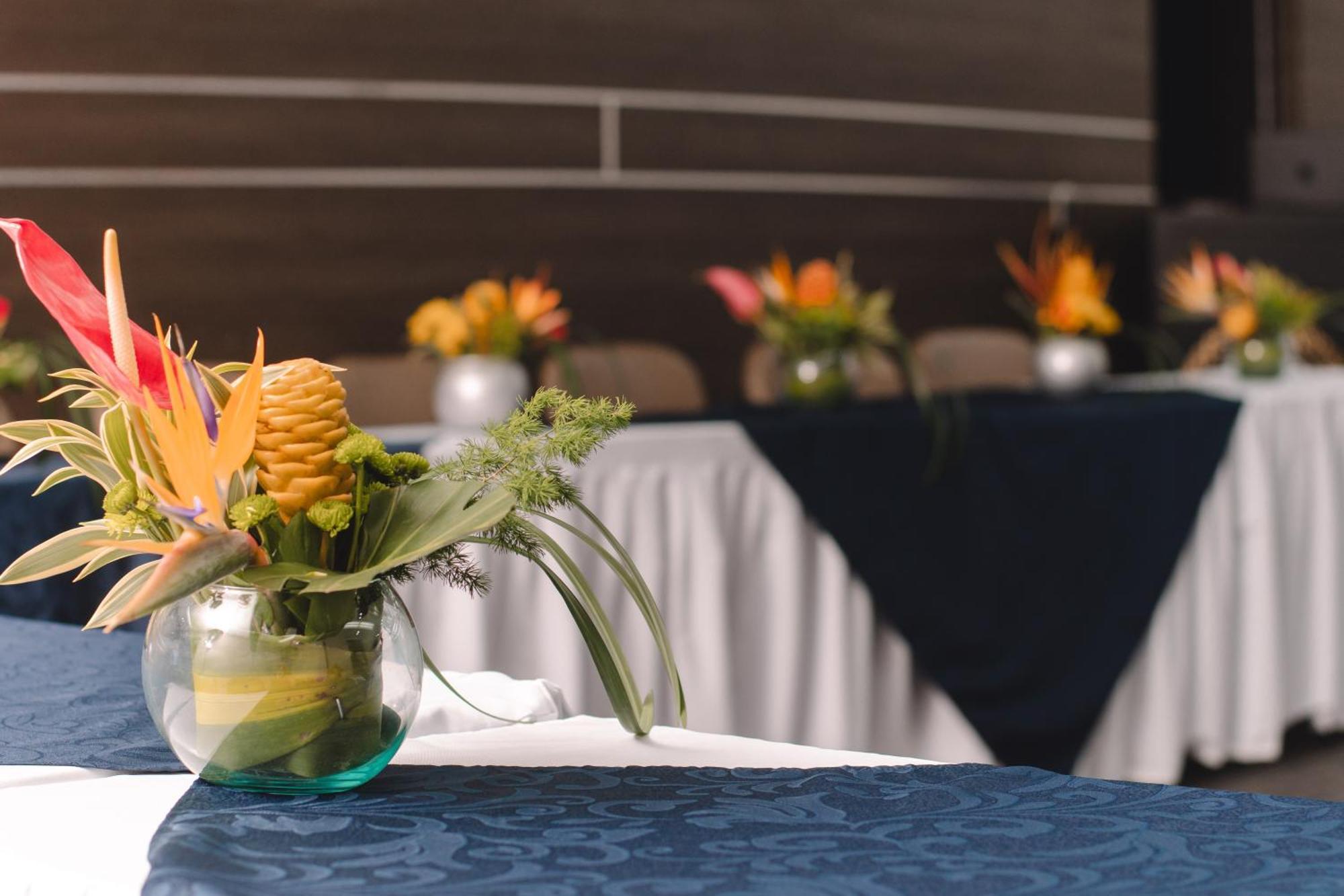 Hotel Punta Arena Spa Boutique Арау̀ка Екстериор снимка